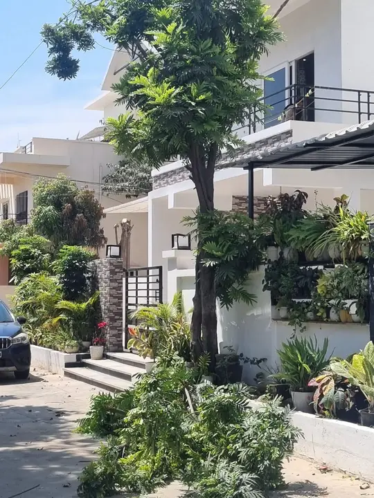 Trees along a villa