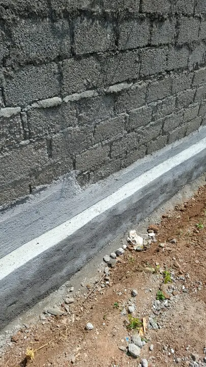 The plastered south-west wall, 2026